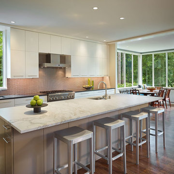 Roland Terry Remodel