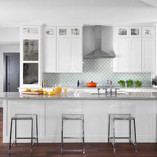 Transitional open concept kitchen inspiration - Transitional galley dark wood floor open concept kitchen photo in Austin with shaker cabinets, white cabinets, stainless steel appliances, an island and white backsplash