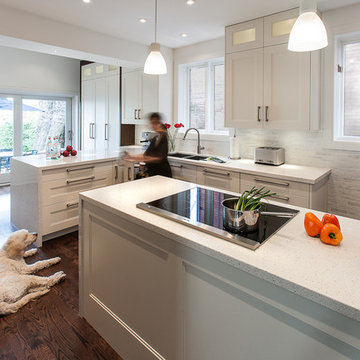 Rosedale Residence - Kitchen