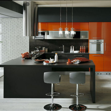 SAN DIEGO CONTEMPORARY KITCHEN DESIGN AND CABINETS