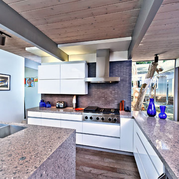 San Diego Contemporary Kitchen