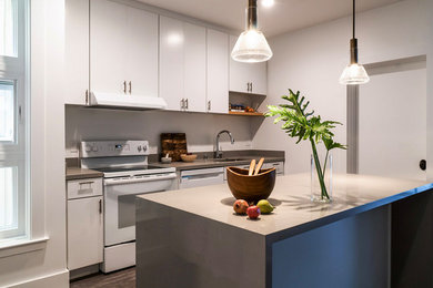 Offene, Einzeilige Moderne Küche mit flächenbündigen Schrankfronten, Kücheninsel, braunem Boden und grauer Arbeitsplatte in San Francisco