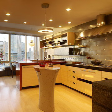 San Francisco High-Rise Home