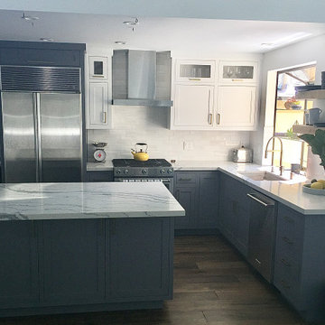 San Rafael kitchen