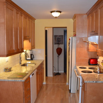 Sand Point Transitional Galley Kitchen