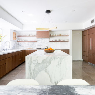 Santa Monica Contemporary Kitchen