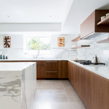 Santa Monica Contemporary Kitchen