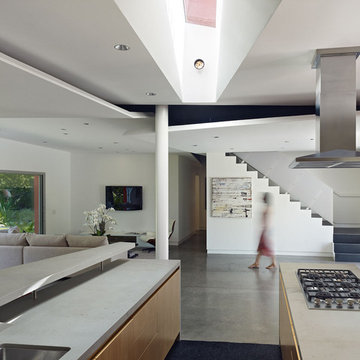 Santa Monica House