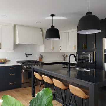 Scandinavian Black and White Kitchen