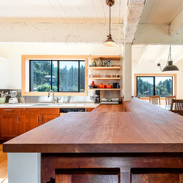 Sea Ranch Conifer Remodel