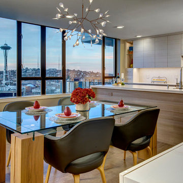Seattle Condo with a View