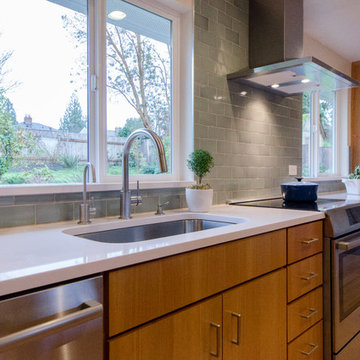 Seattle Kitchen Remodel