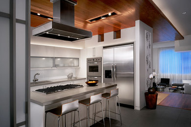 Kitchen - contemporary kitchen idea in Chicago