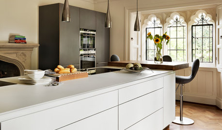 Kitchen of the Week: A Slick, Modern Design in a Beautiful Period Space