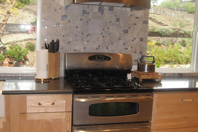 サンタバーバラにあるトランジショナルスタイルのおしゃれなキッチンの写真