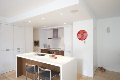 Minimalist galley kitchen photo in Vancouver with a single-bowl sink, flat-panel cabinets, white cabinets, laminate countertops and paneled appliances
