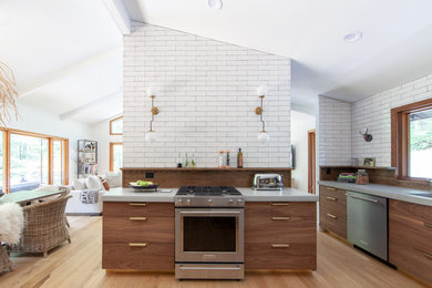 Immagine di una cucina moderna con top in cemento e top grigio