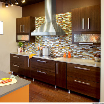 Showplace Wood Products: Kitchens