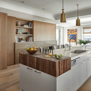 Large contemporary kitchen pantry remodeling - Example of a large trendy light wood floor, brown floor and tray ceiling kitchen pantry design in Chicago with an undermount sink, flat-panel cabinets, white cabinets, quartzite countertops, paneled appliances, an island and white countertops