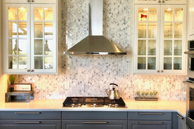 Inspiration for a contemporary kitchen remodel in Raleigh