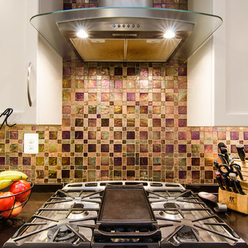 Silver Spring - Transitional Kitchen Remodel