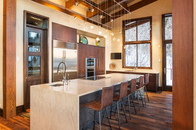 Trendy l-shaped dark wood floor and brown floor kitchen photo in Denver with an undermount sink, flat-panel cabinets, dark wood cabinets, stainless steel appliances and an island