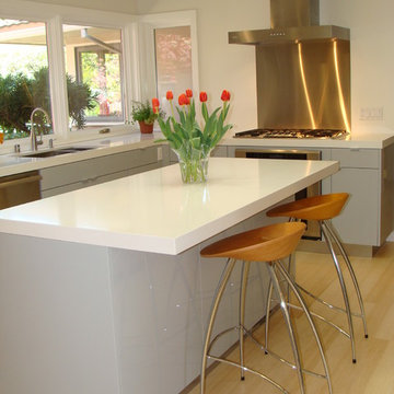 Sleek and Bright Island