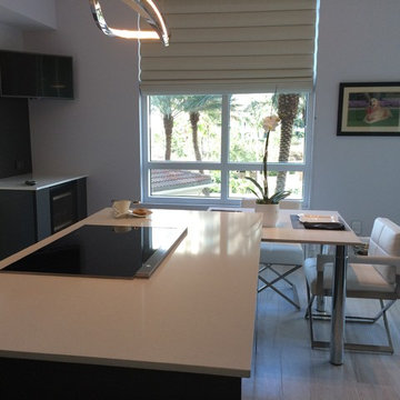 SLEEK AND CLEAN EAT IN KITCHEN