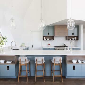 Sleek and Modern Kitchen