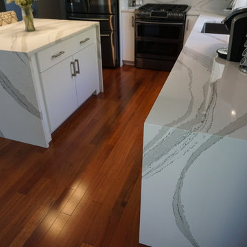 Sleek Contemporary Kitchen