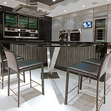Sleek Modern Kitchen