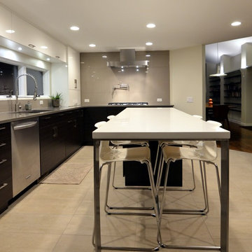 Small "U" Shaped Modern Kitchen with White and Wood Finishes in Geneva, IL