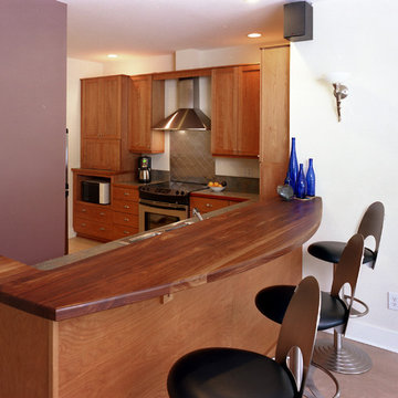 Solterra modern kitchen