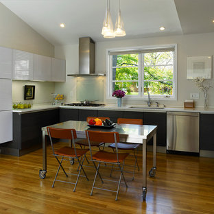 Inspiration for a modern kitchen remodel in DC Metro with stainless steel appliances
