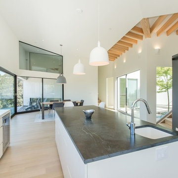 Sonoma Contemporary Home