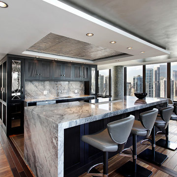 Sophisticated Lake Point Tower Kitchen with a View