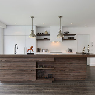 Design ideas for a contemporary galley kitchen in Sydney with flat-panel cabinets, white cabinets and panelled appliances.