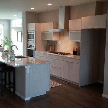 South Denver Kitchen and Bathroom with LIVIA cabinets