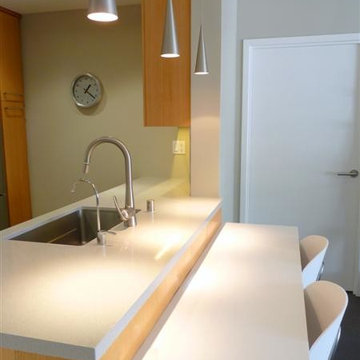 Sparkly City Condo Kitchen