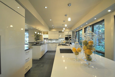 Inspiration for a contemporary kitchen remodel in Edmonton