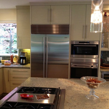 Stainless Steel Appliances with light cabinets