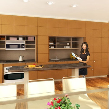 Stealth Kitchen Modules / Panels can have ANY Style