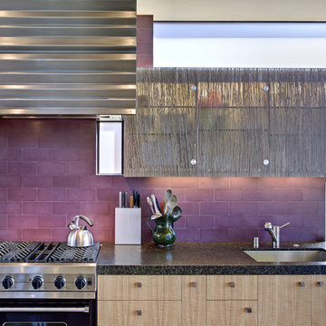 Stinson Beach House