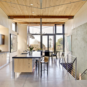 Stinson Beach House