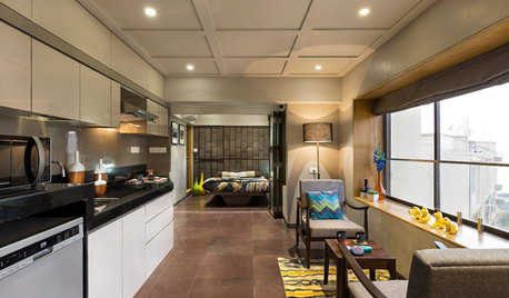 Mumbai Houzz: A Tiny Studio Apartment Makes the Most of Its Space