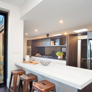Stunning Designer Residence in Lilyfield
