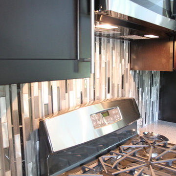 Stunning Stainless Contemporary Kitchen | Rockford, Illinois