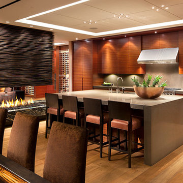 Sub-Zero and Wolf Kitchen Design Contest 2013