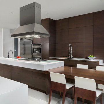 Sub-Zero / Wolf - Modern Kitchen (Walnut)