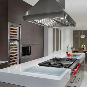 Sub-Zero / Wolf - Modern Kitchen (Walnut)